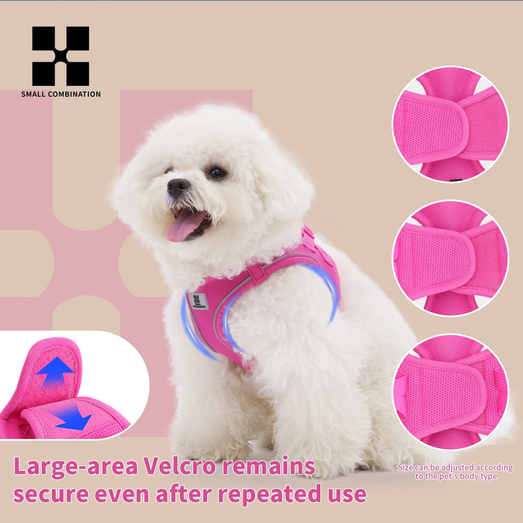 Small Pets Reflective Harness & Leash