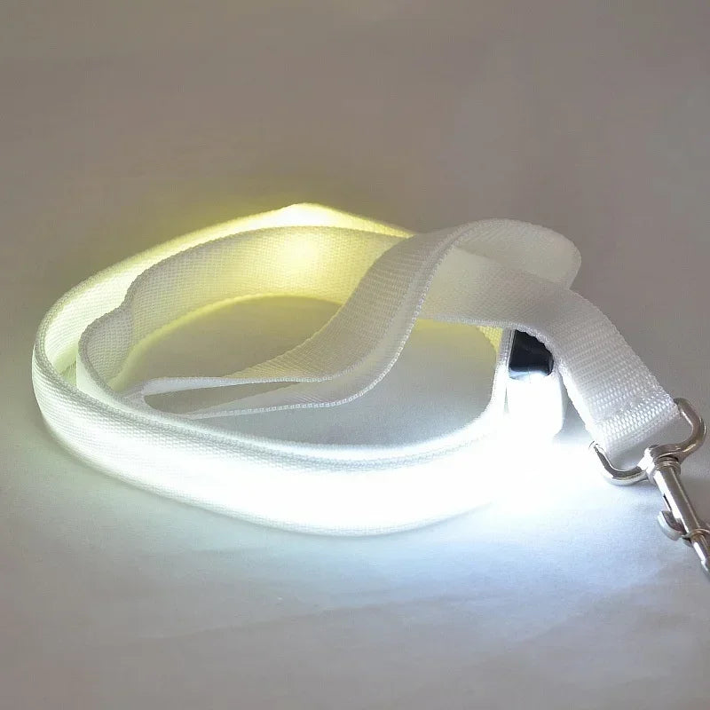 Flashing LED Dog Leash