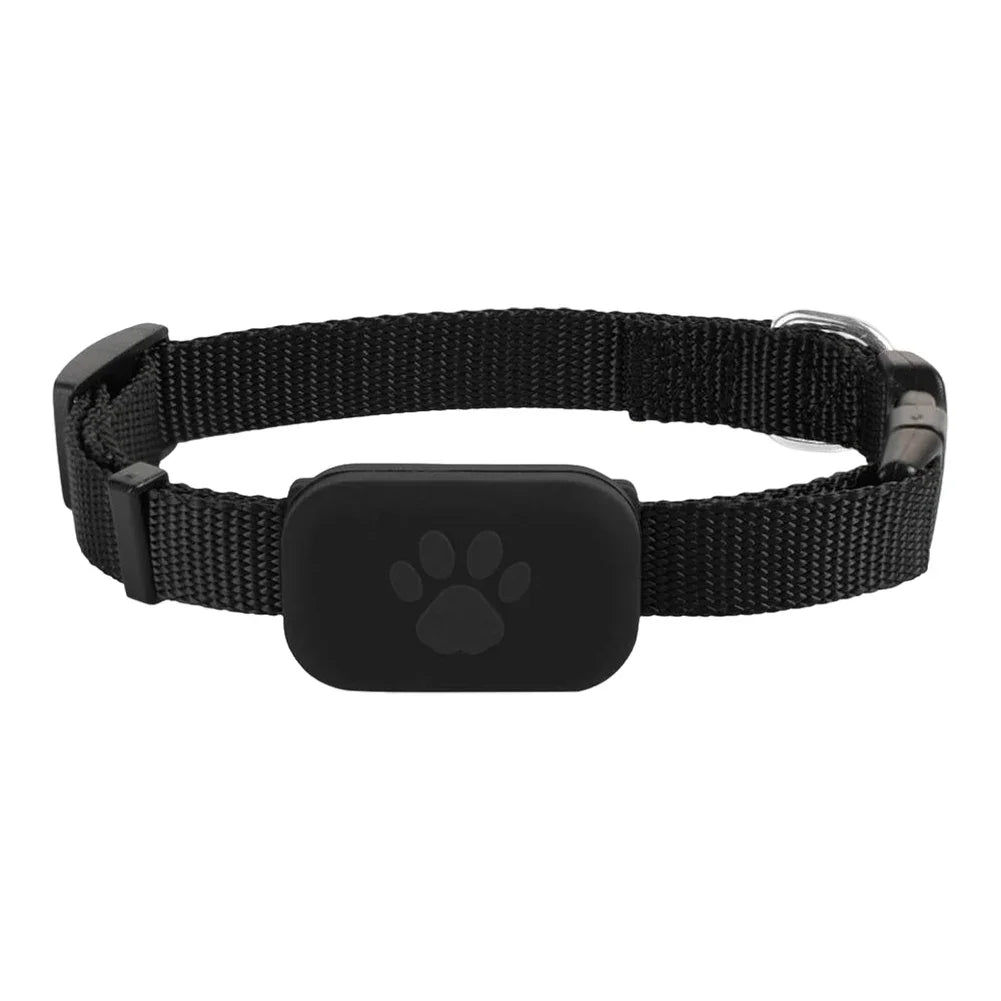 Pet GPS Tracker with Collar