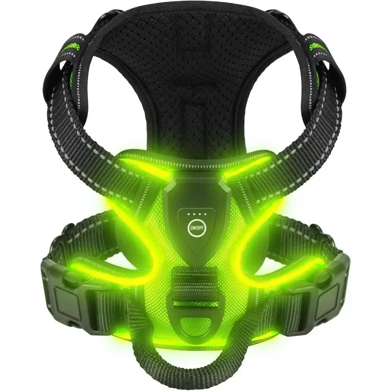 Led luminous Dog Harness