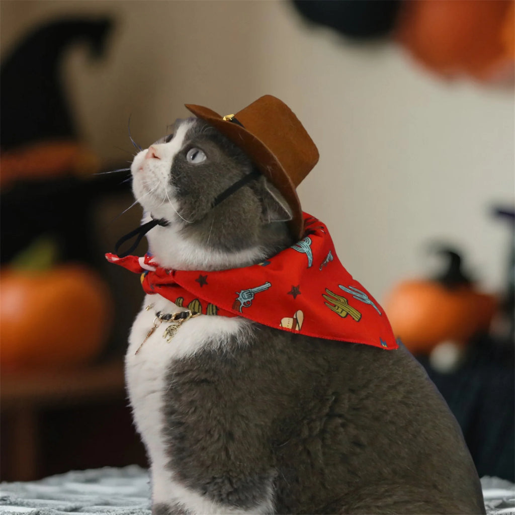 Vintage Dog Cowboy Costume