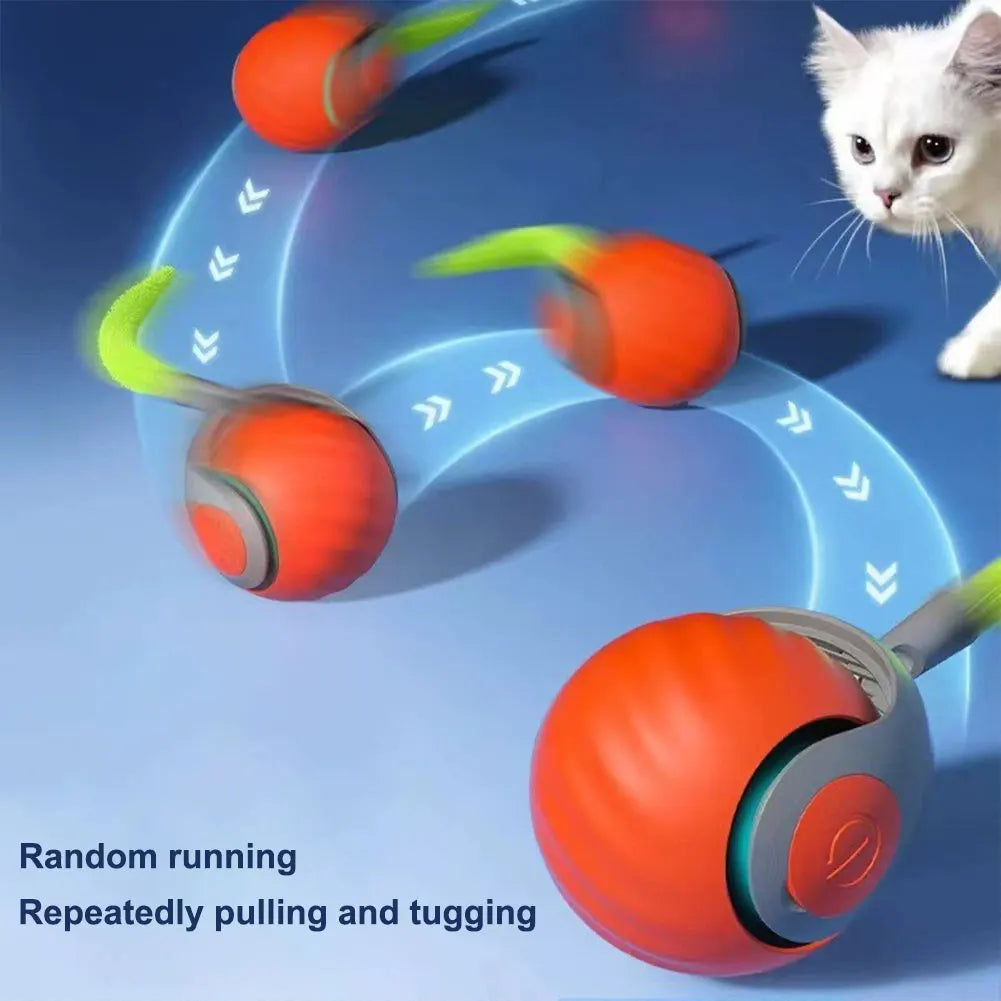 Electronic Interactive Pet Ball