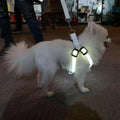 USB Rechargeable LED Pet Harness