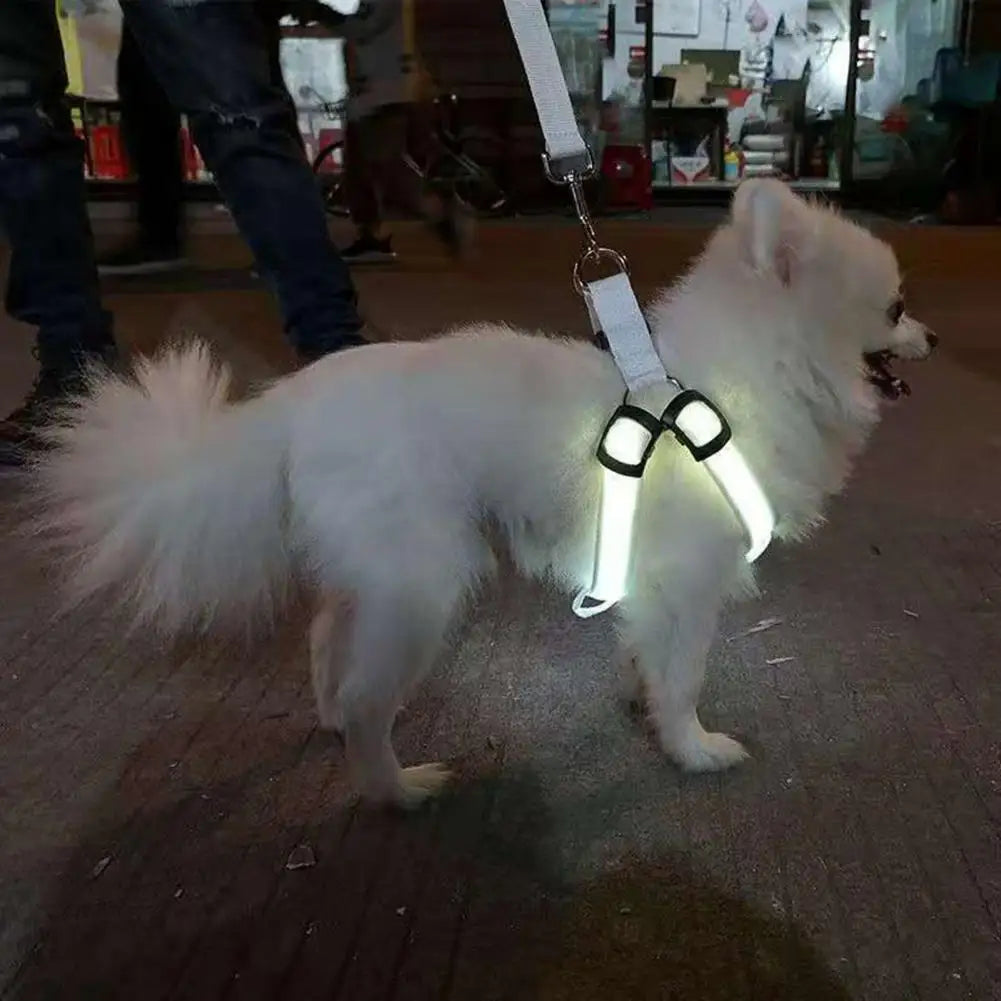 USB Rechargeable LED Pet Harness