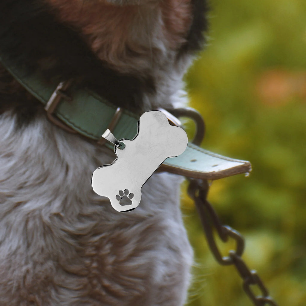 10 Pcs Stainless Steel Engravable Pet Id Tags