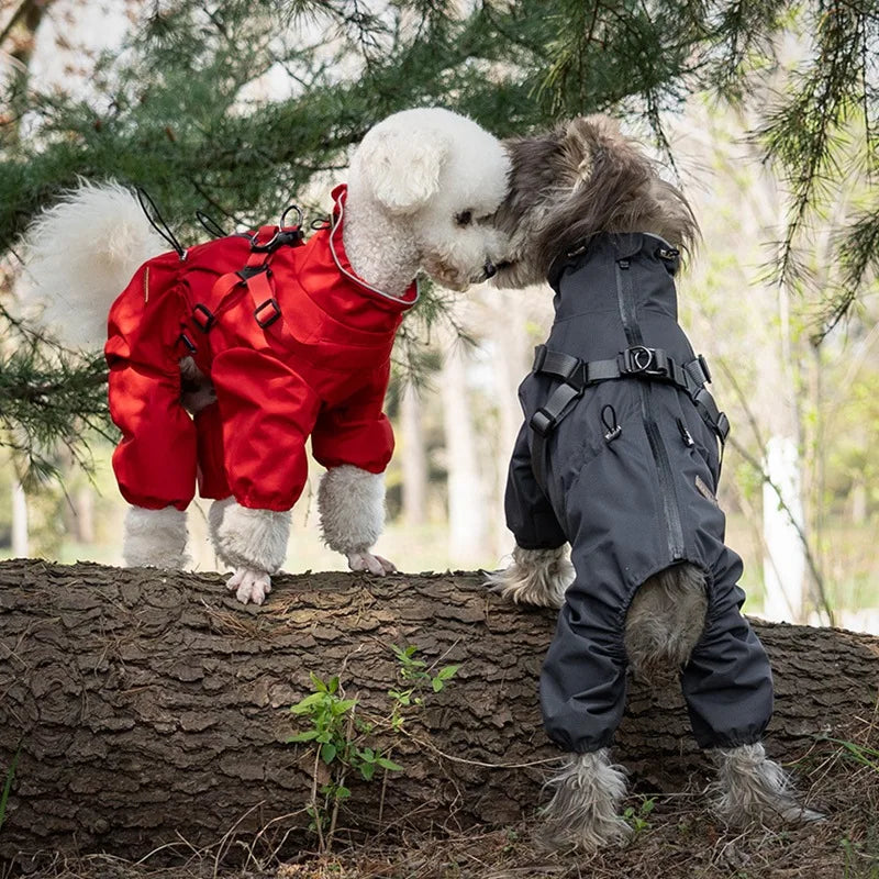 Reflective Dog Raincoat With Harness