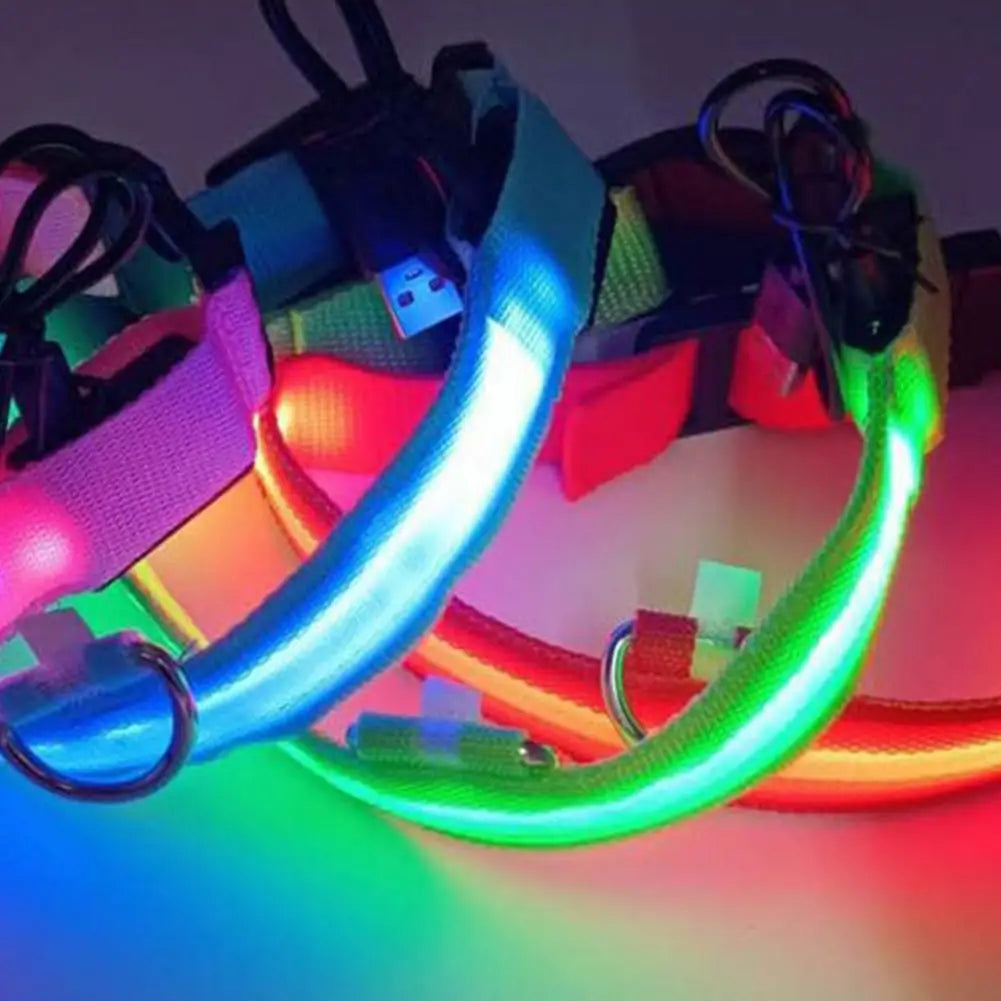 USB Rechargeable LED Pet Harness