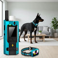 Smart Dog Training Collar with Remote & Activity Tracker