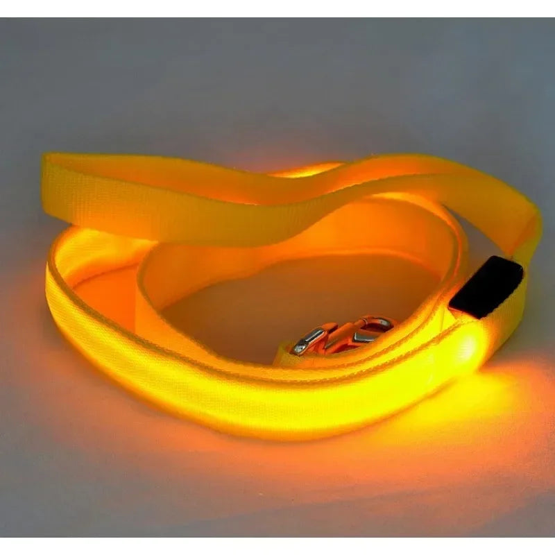 Flashing LED Dog Leash