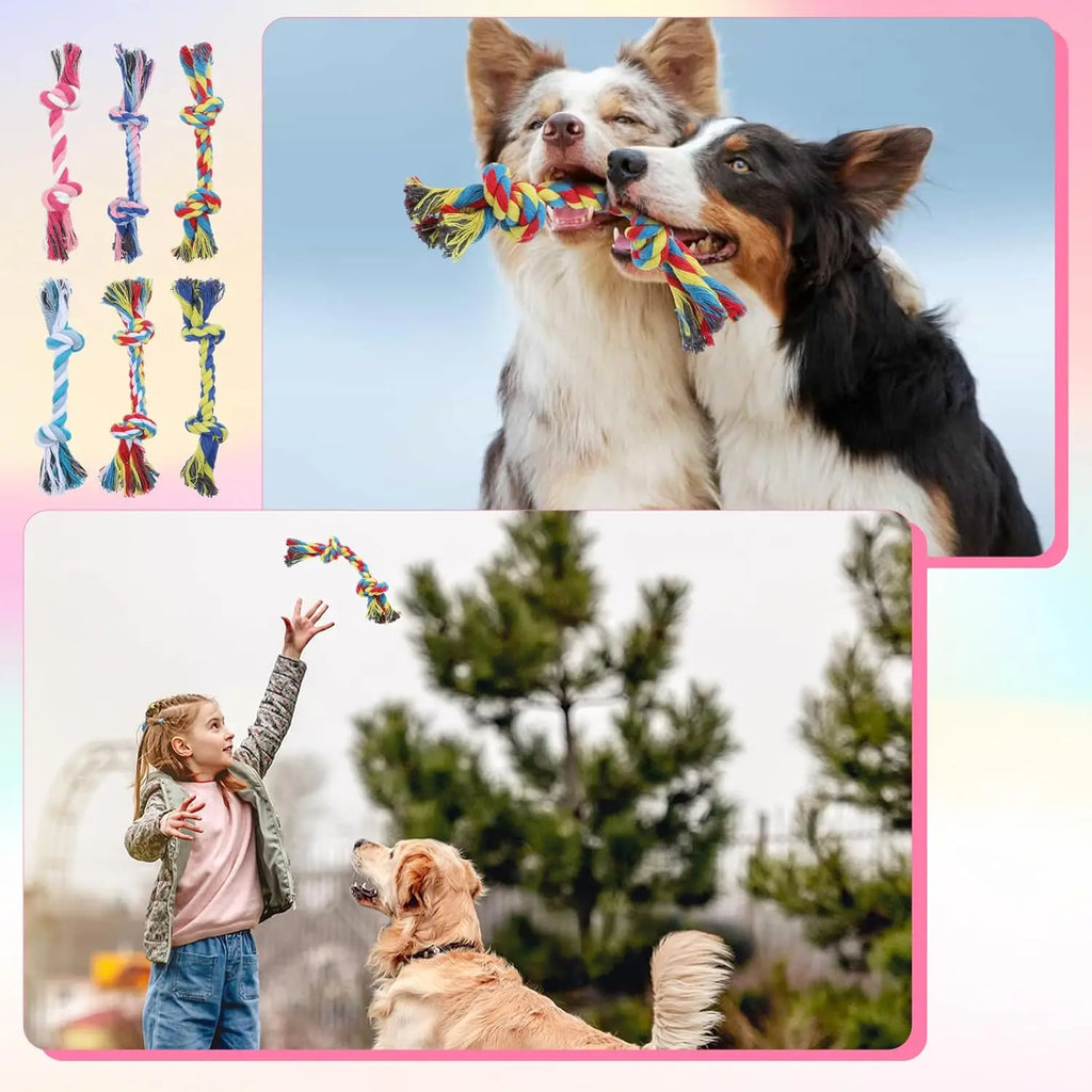 Braided Dog Chew Ropes