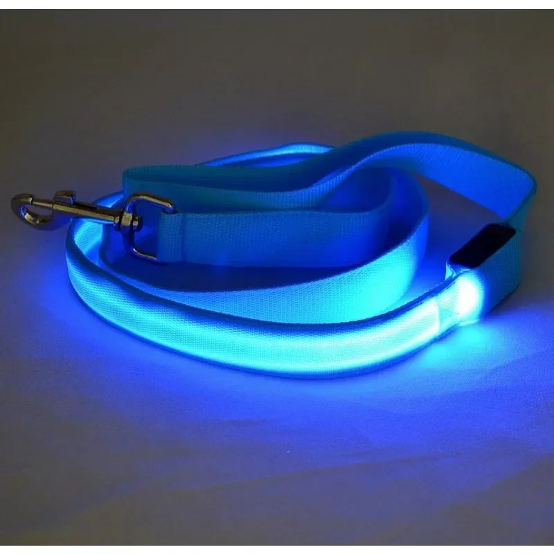 Flashing LED Dog Leash
