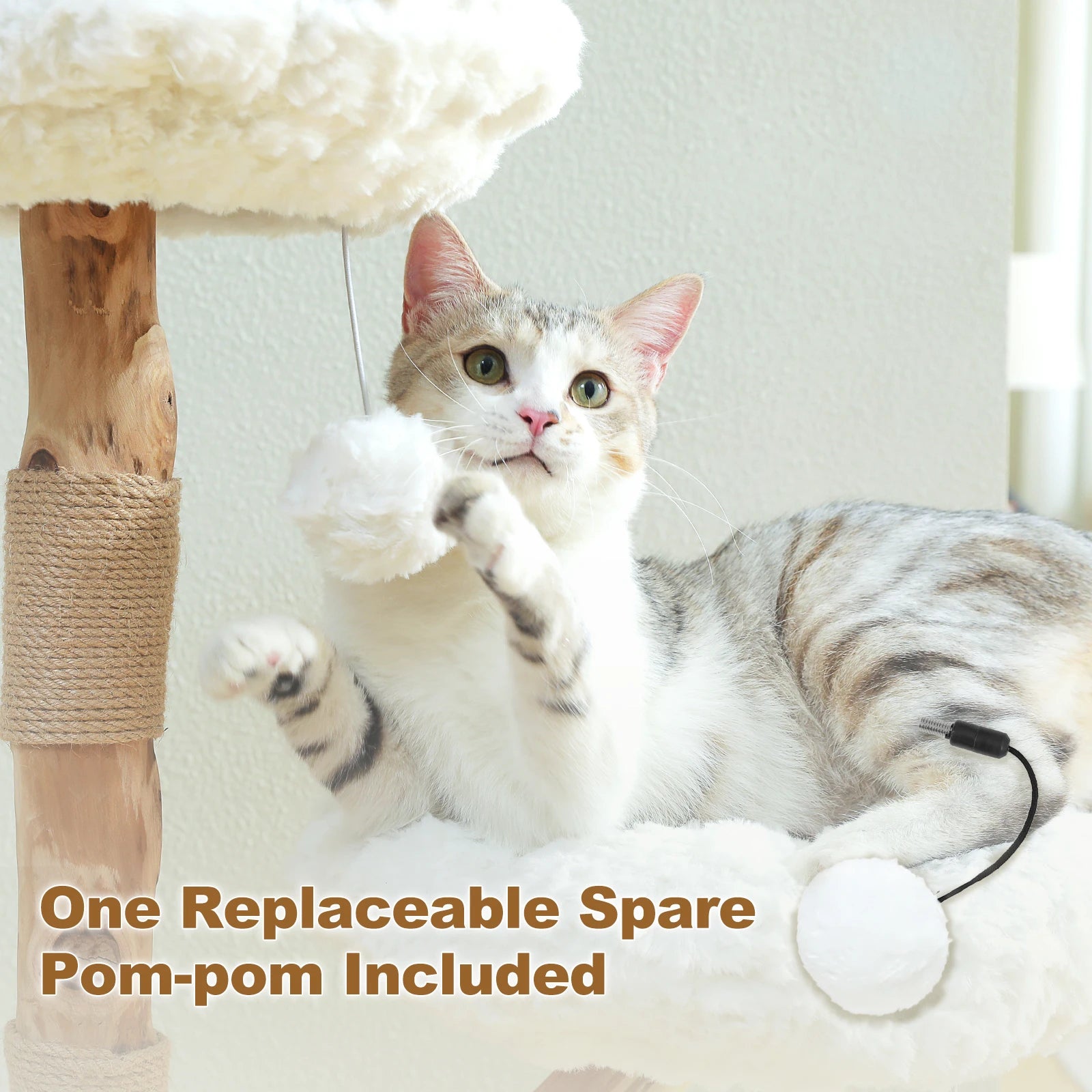 Real Wood Cat Scratch Post