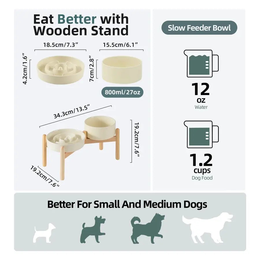 Raised Slow Feeder Dog Bowl 🐶