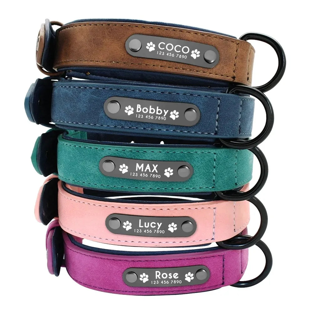 Custom ID Dog Collars