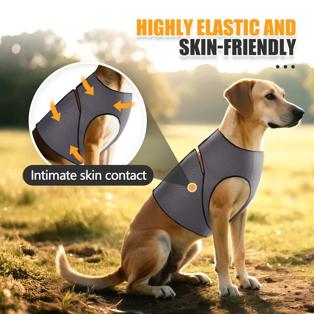 Anti Anxiety Vest for Dogs and Cat