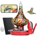 Solar Powered Glass Smart Hummingbird Feeder with Camera