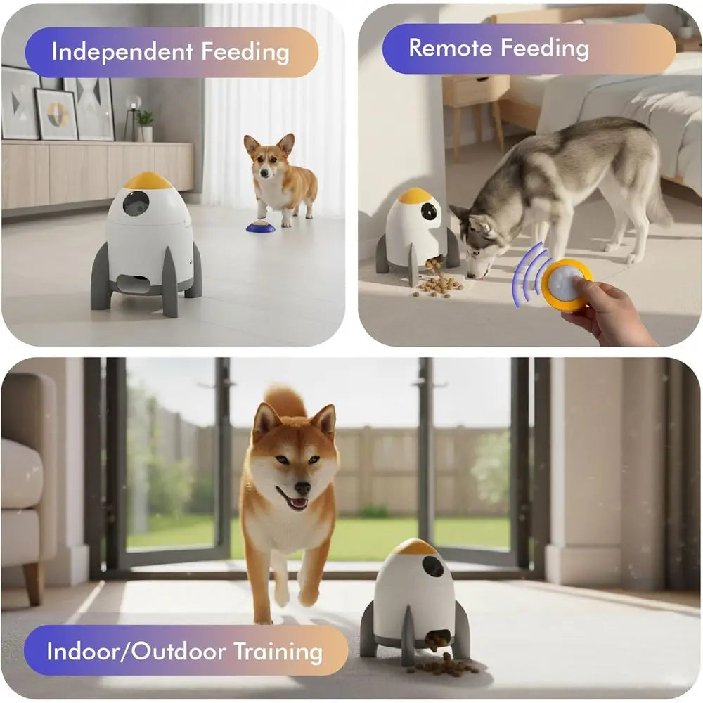 IQ Training & Slow Feeder with Remote Button