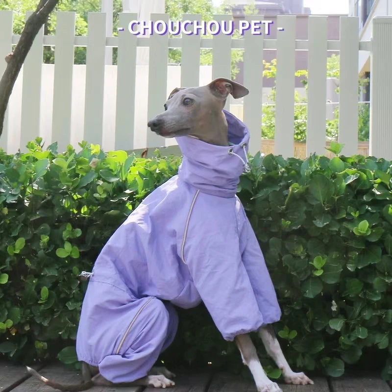 Italian Greyhound Raincoat