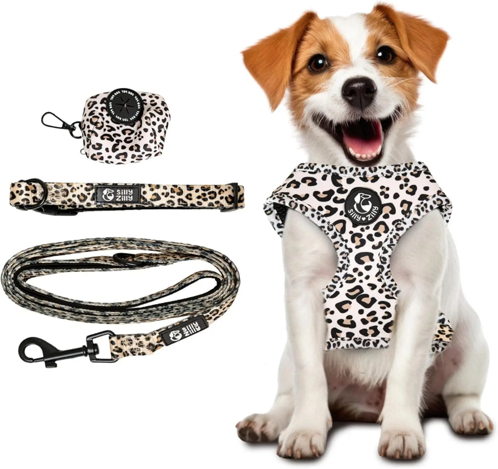 4-Piece Leopard Print Dog Set