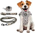 4-Piece Leopard Print Dog Set