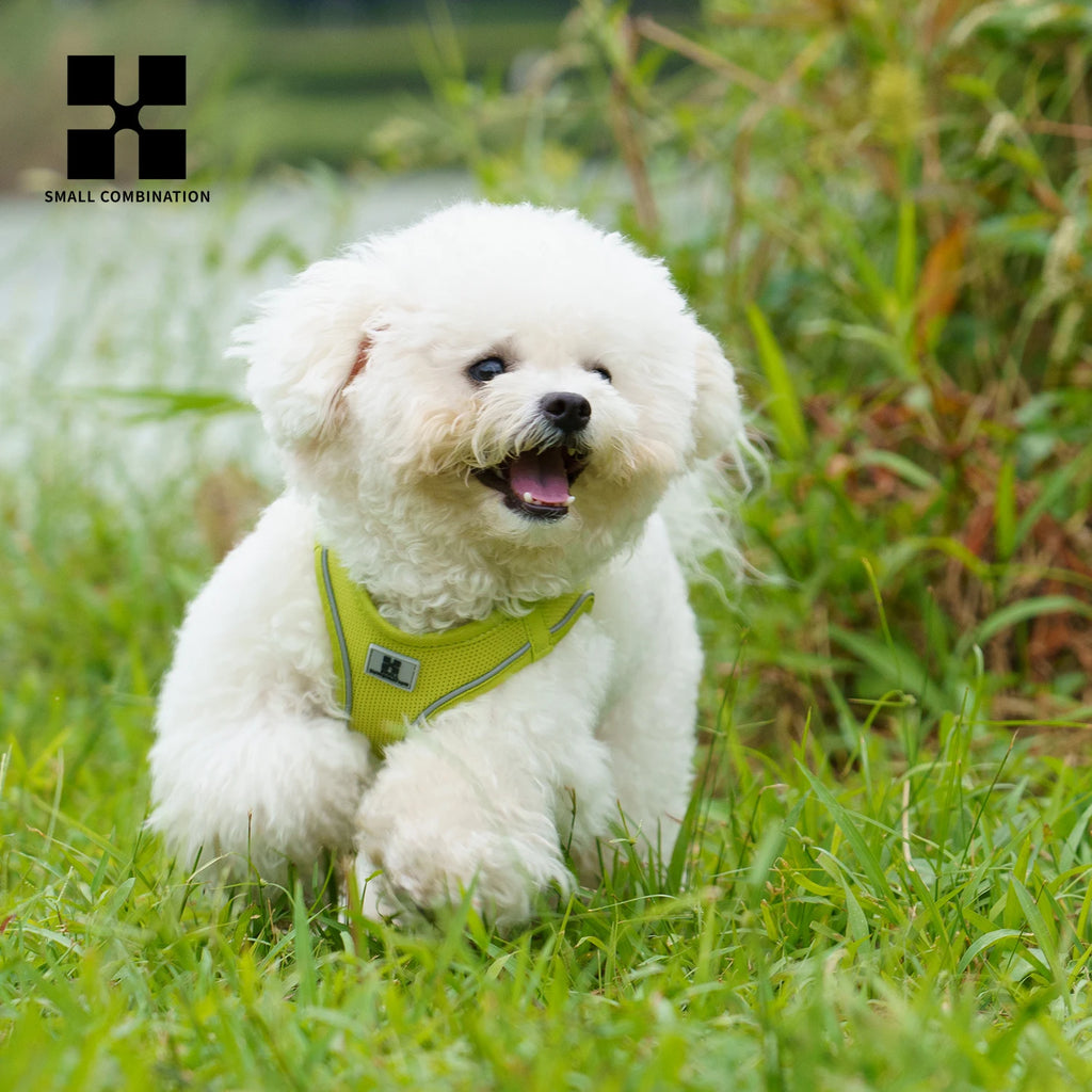 Small Pets Reflective Harness & Leash