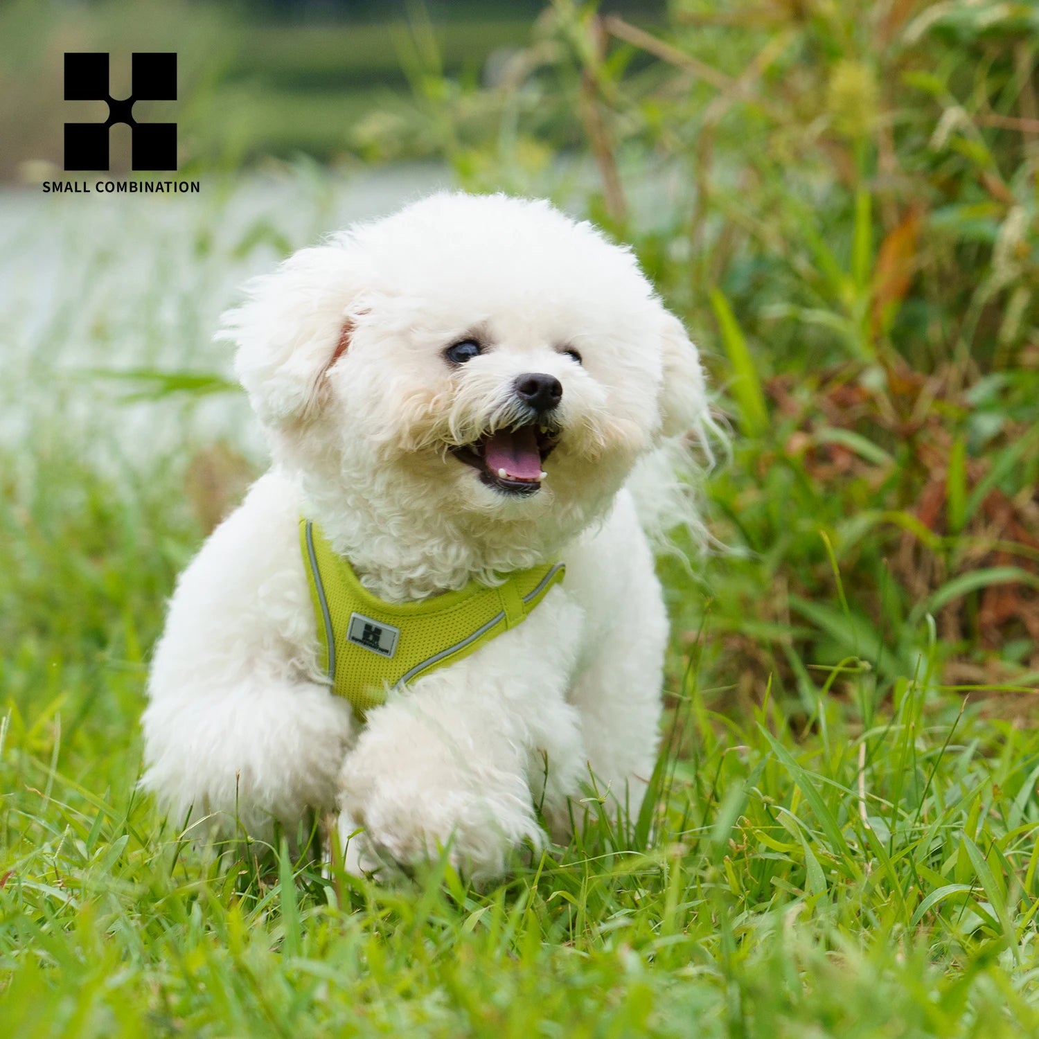 Small Pets Reflective Harness & Leash