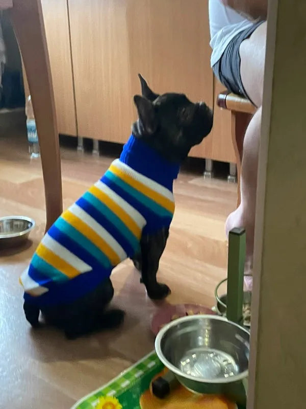 Warm Pet Winter Sweater