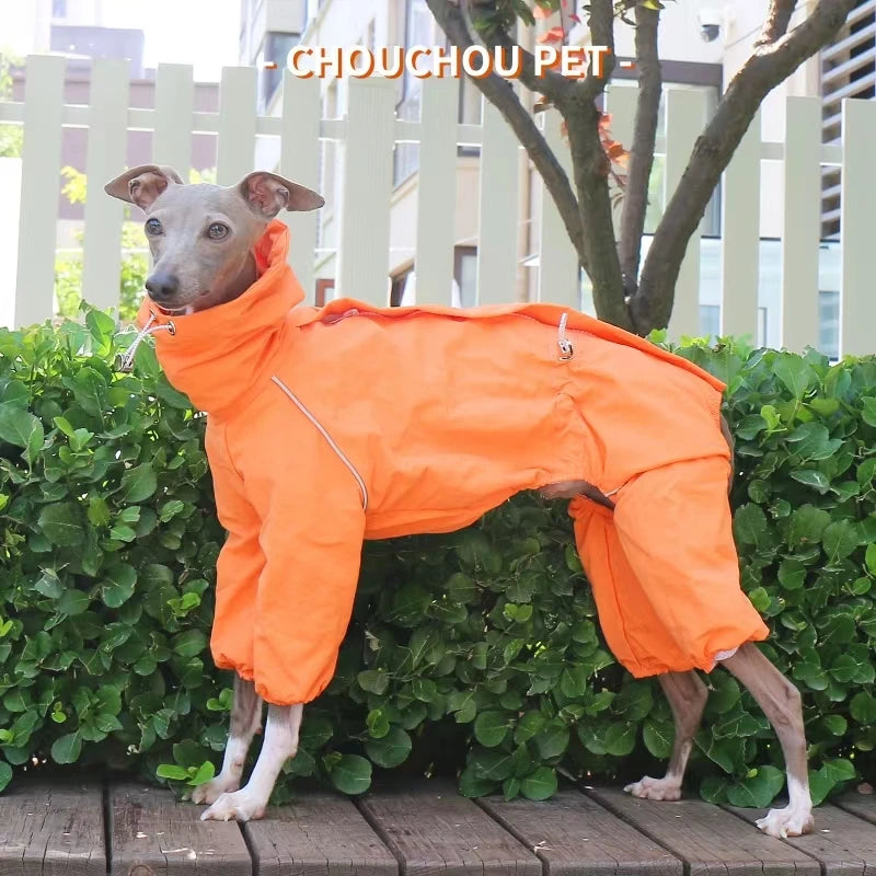 Italian Greyhound Raincoat
