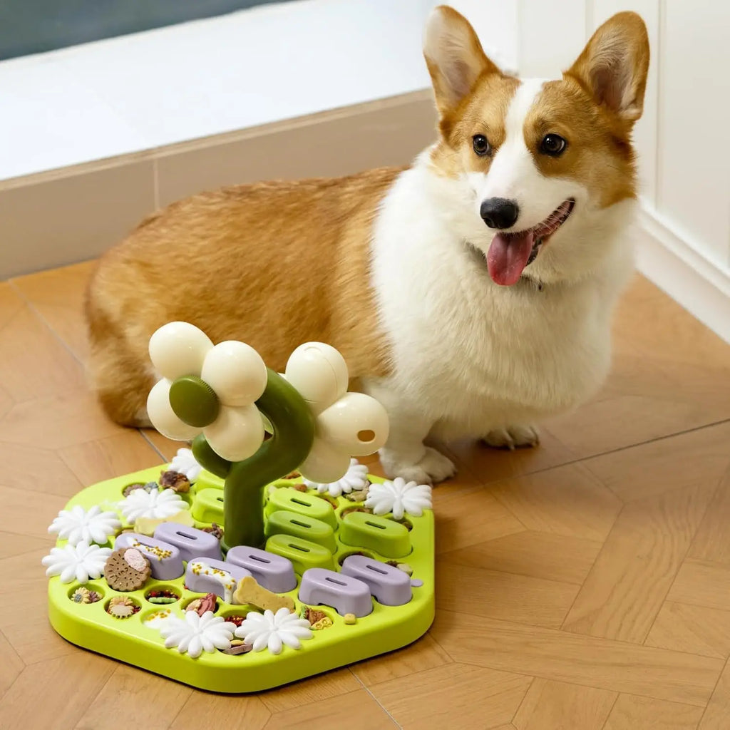 Dog Treat Puzzle Feeder