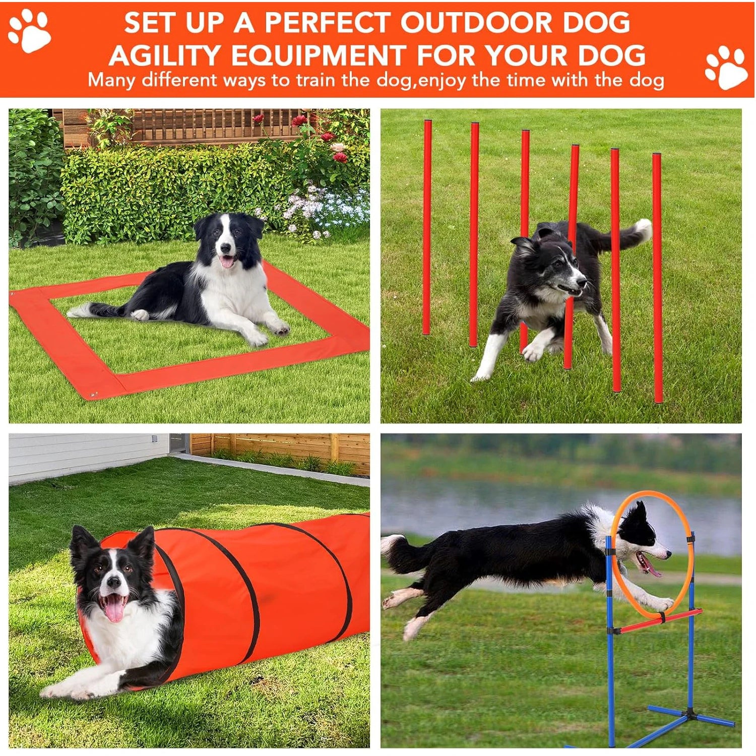 Complete Dog Obstacle Course
