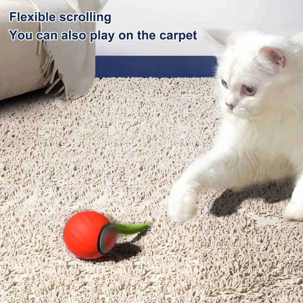 Electronic Interactive Pet Ball
