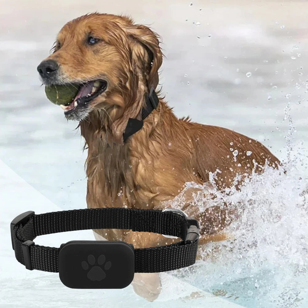 Pet GPS Tracker with Collar
