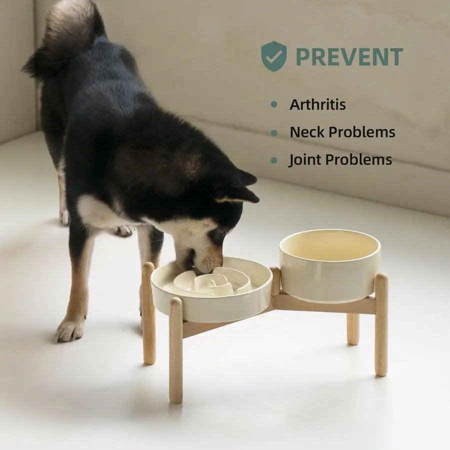 Raised Slow Feeder Dog Bowl 🐶