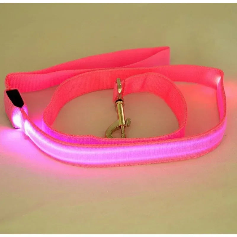 Flashing LED Dog Leash