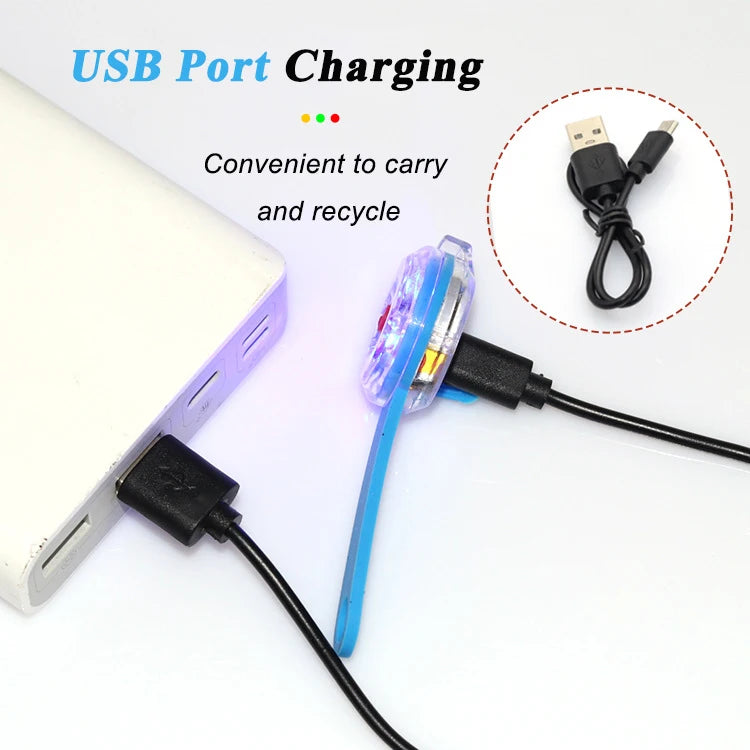 Rechargeable LED Pet Collar Pendant