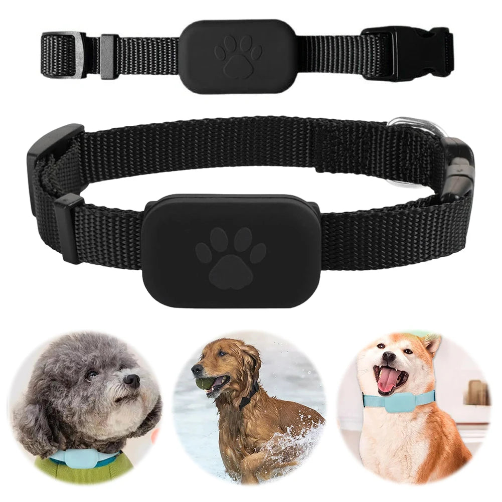GPS Pet Tracker with Collar