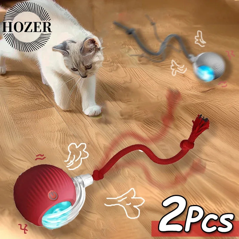 Interactive Ball & Rechargeable Mouse