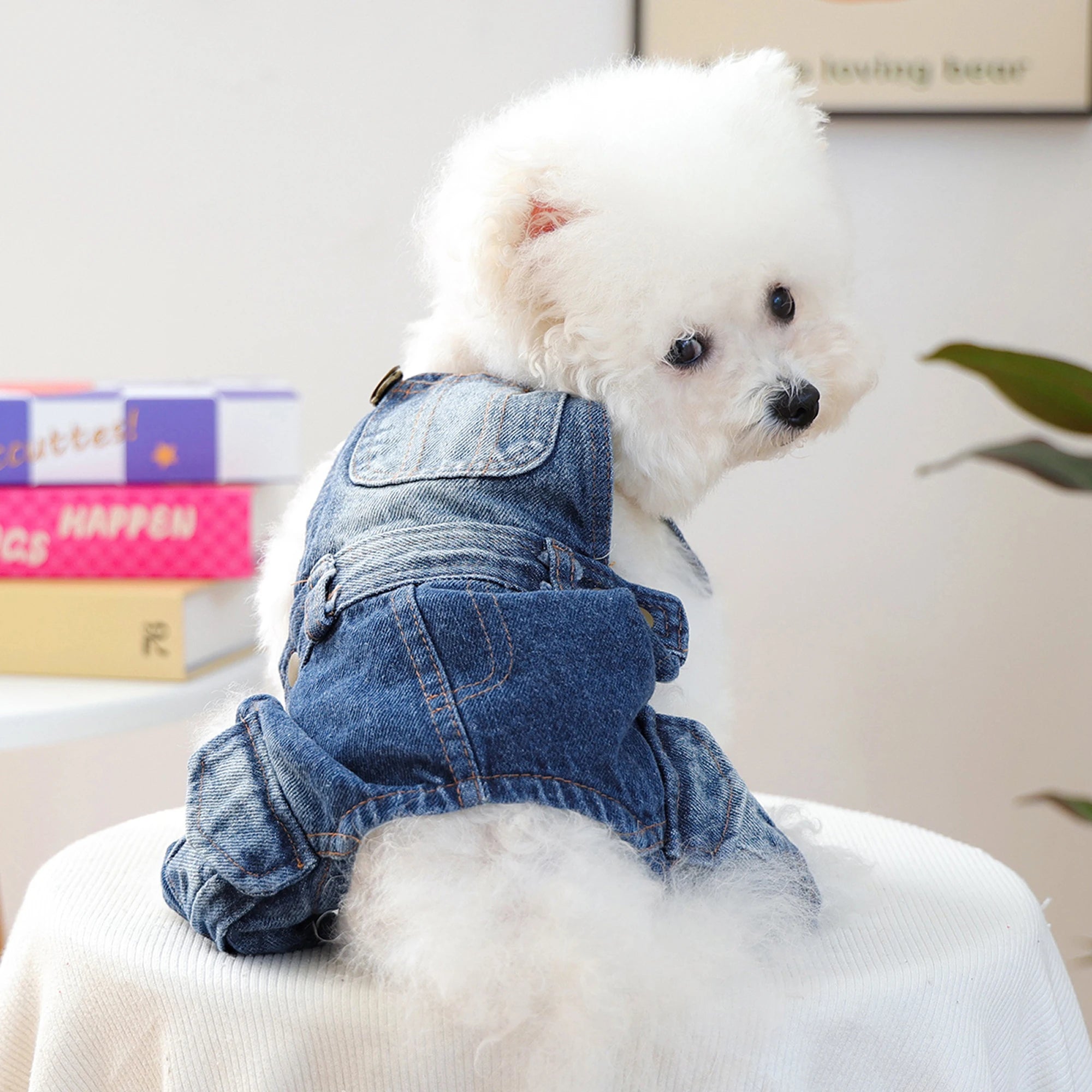 Stylish Distressed Jeans for Small Dogs