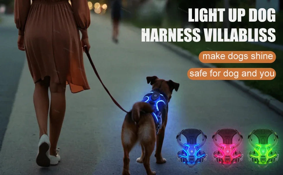 Led luminous Dog Harness