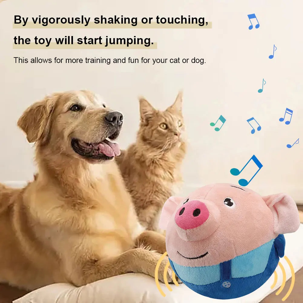 Cartoon Interactive Rechargeable Balls