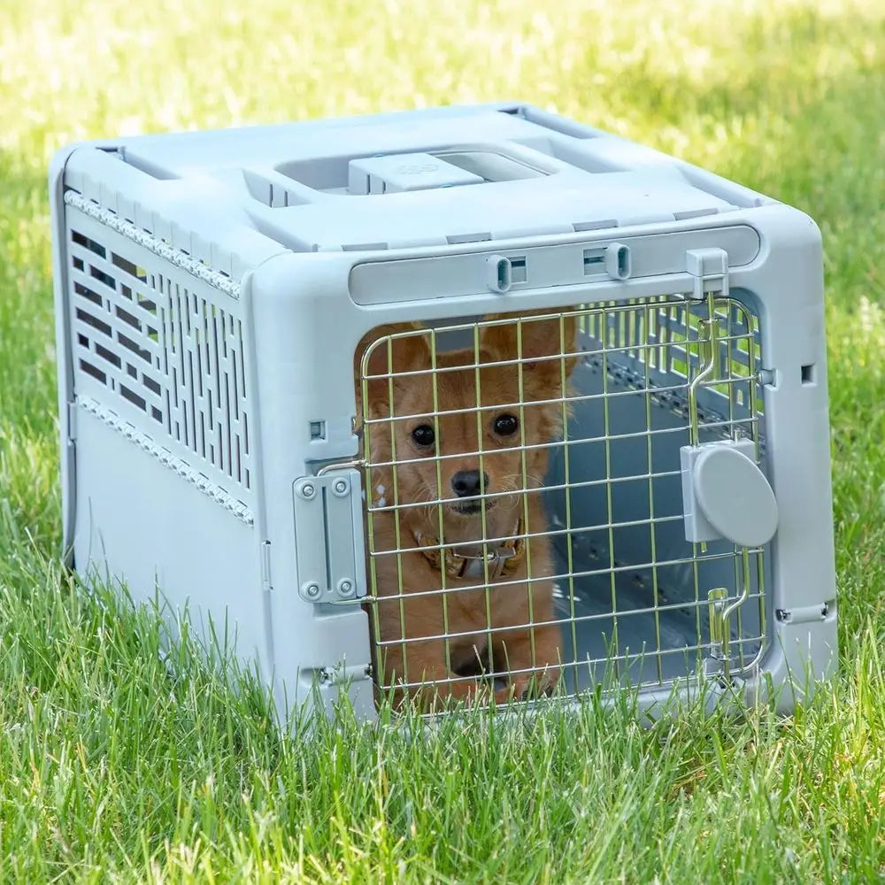 Collapsible X-Small Pet Travel Carrier