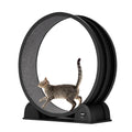 45" Treadmill For Cats With Smart Pedometer