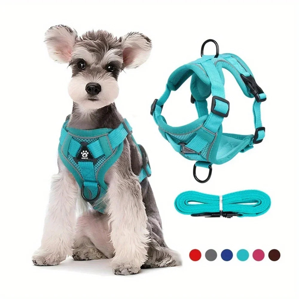 No Pull Reflective Harness & Leash