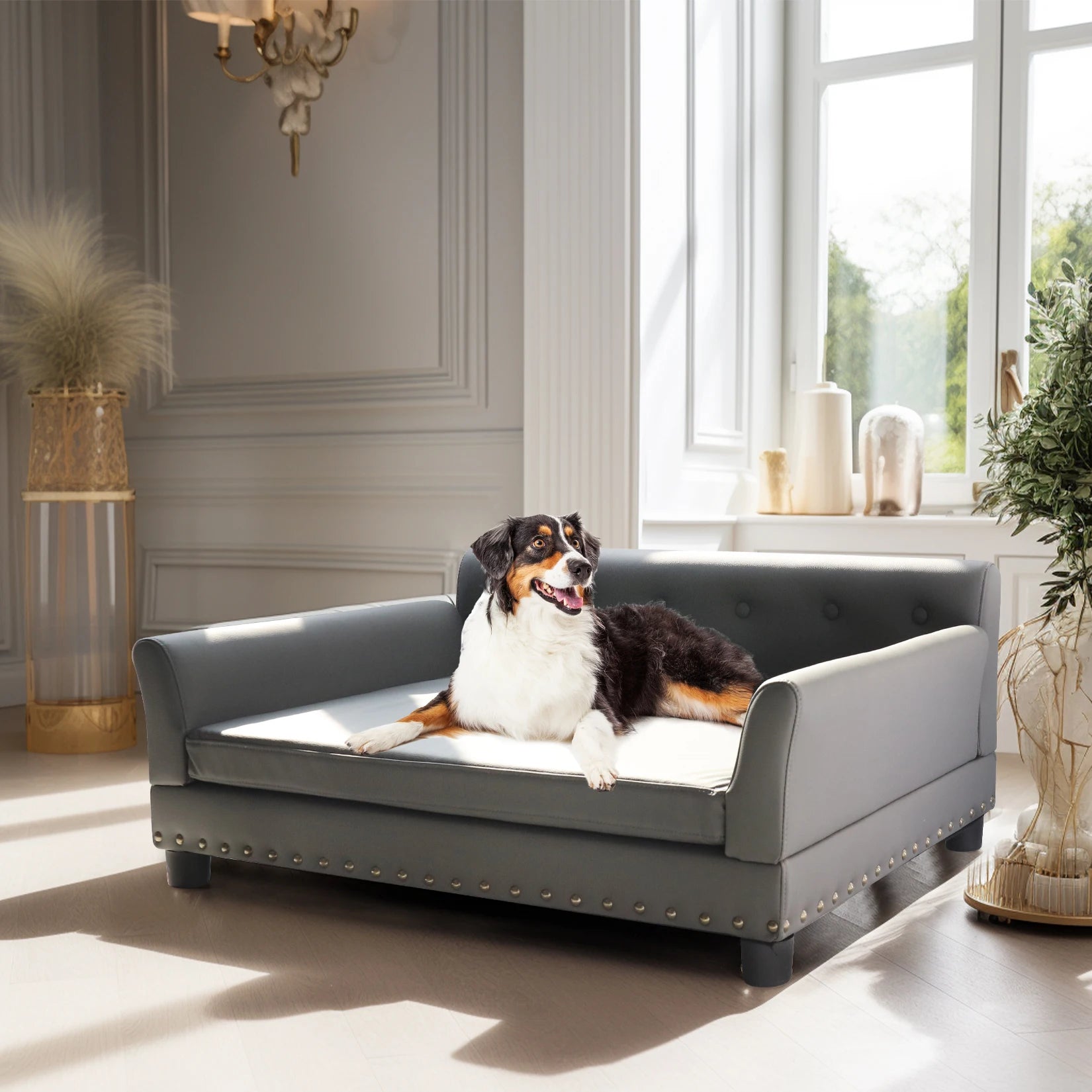 Modern Dog Sofa for Large Dogs