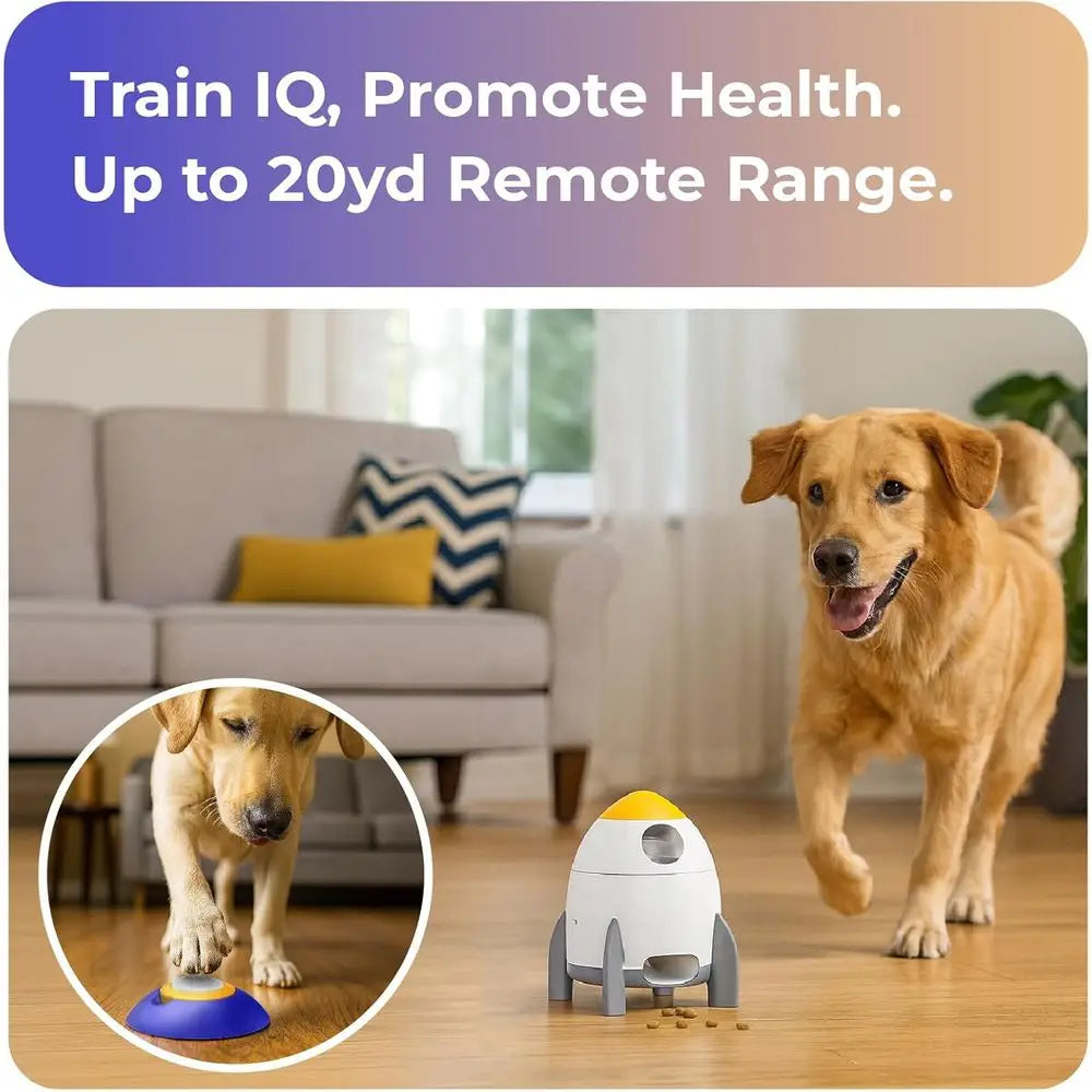 IQ Training & Slow Feeder with Remote Button