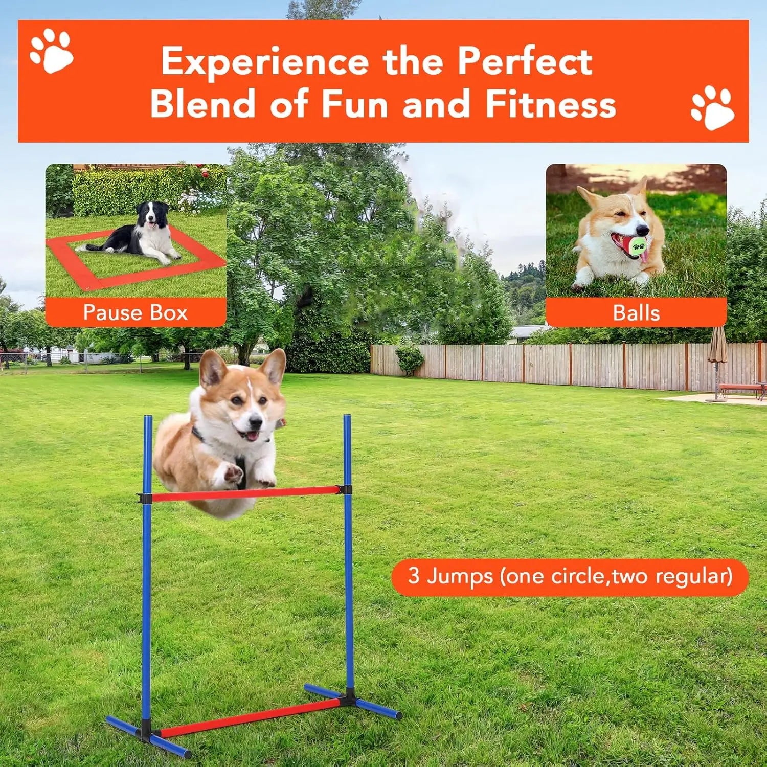 Complete Dog Obstacle Course