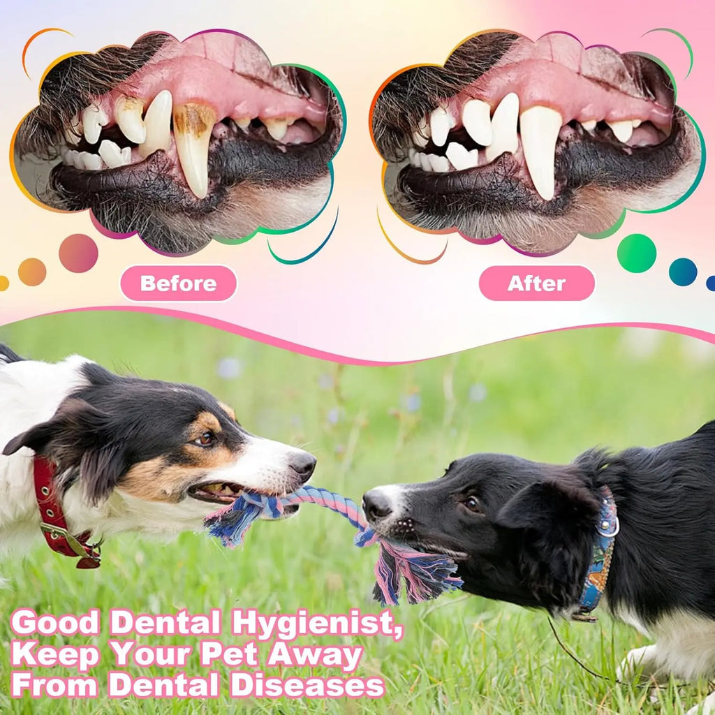 Braided Dog Chew Ropes
