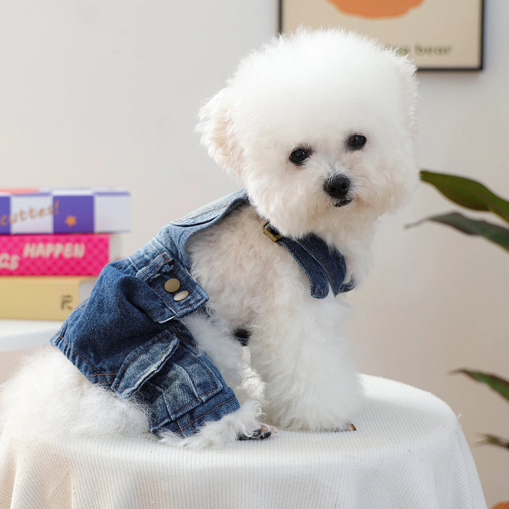 Stylish Distressed Jeans for Small Dogs