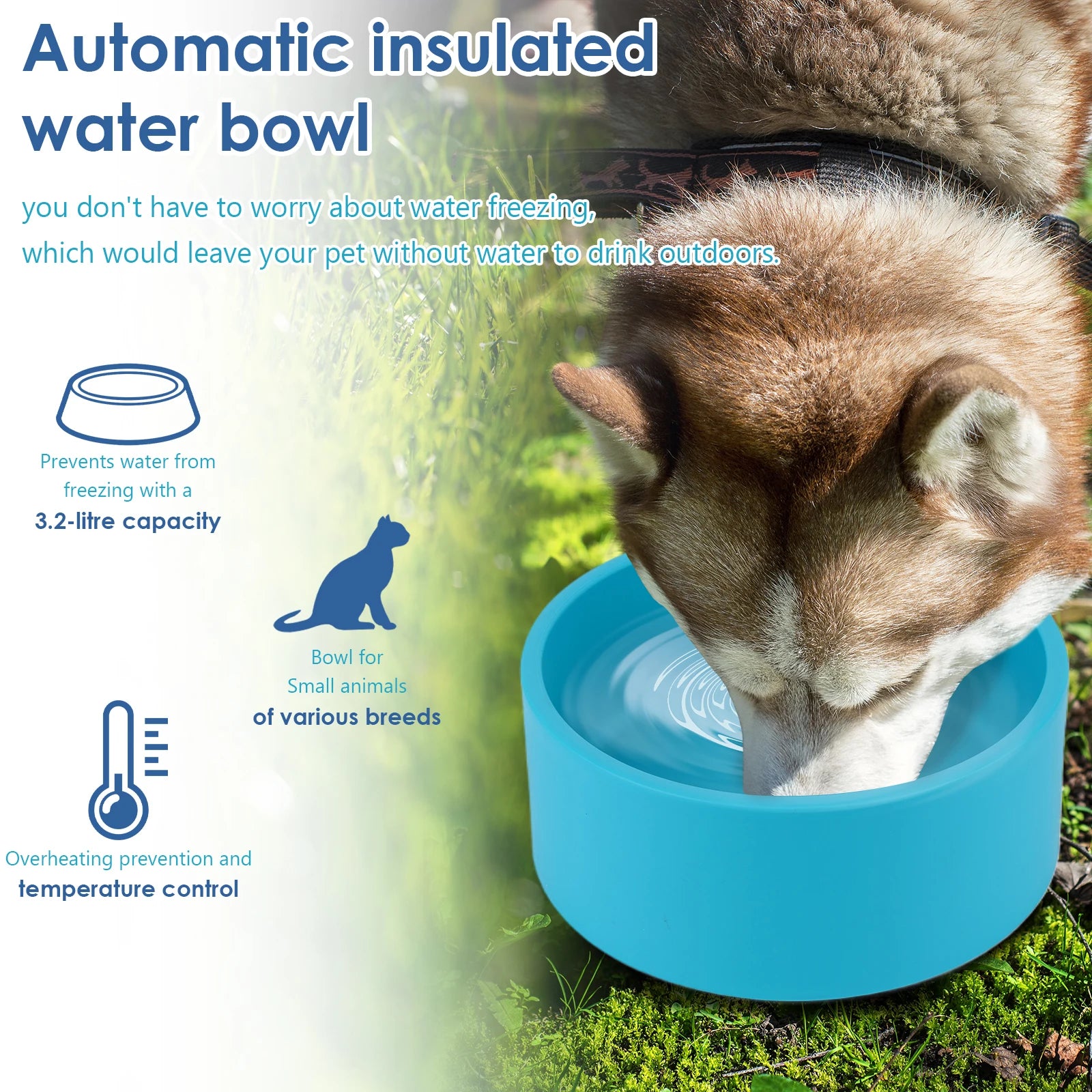 Heated Anti-Freeze Pet Water Dish