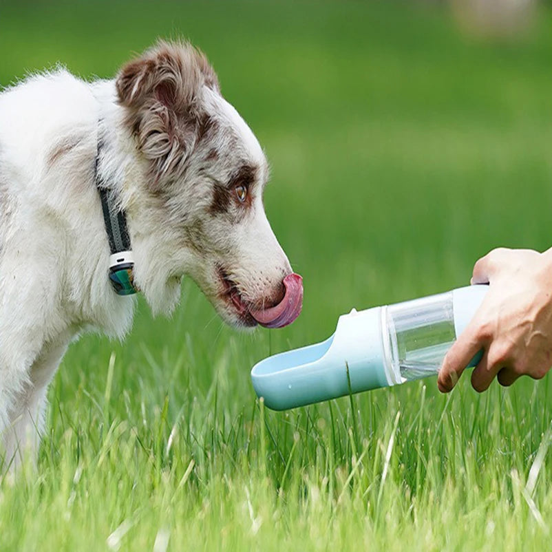 Portable Pet Water Bottle & Cup